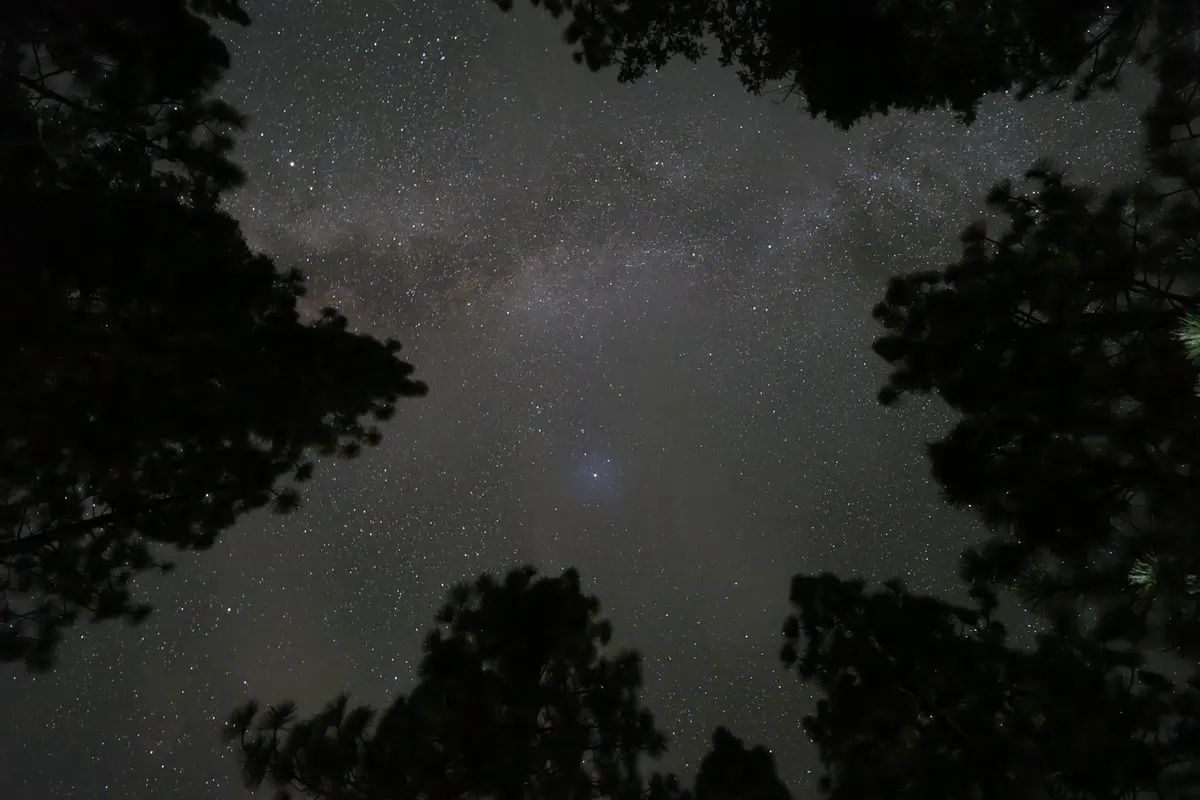 Timelapse